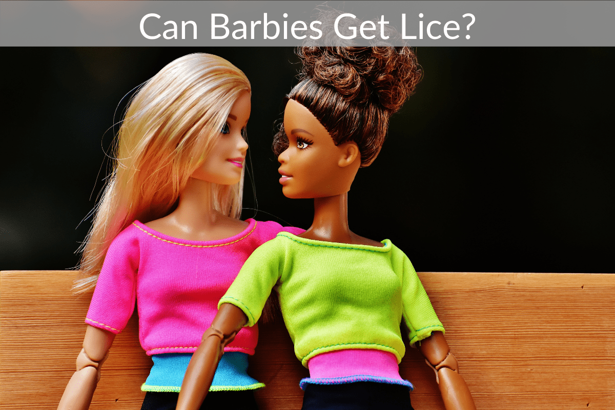 Can Barbies Get Lice?