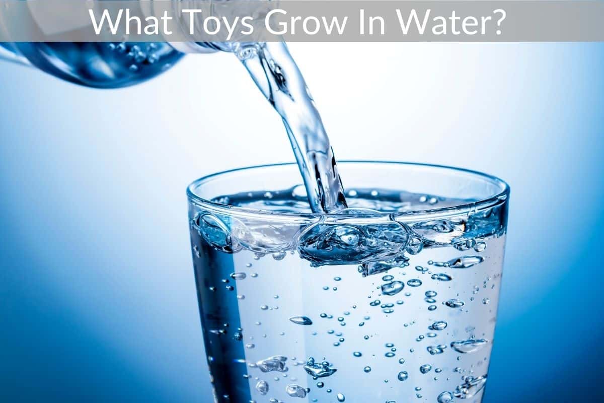 What Toys Grow In Water? 