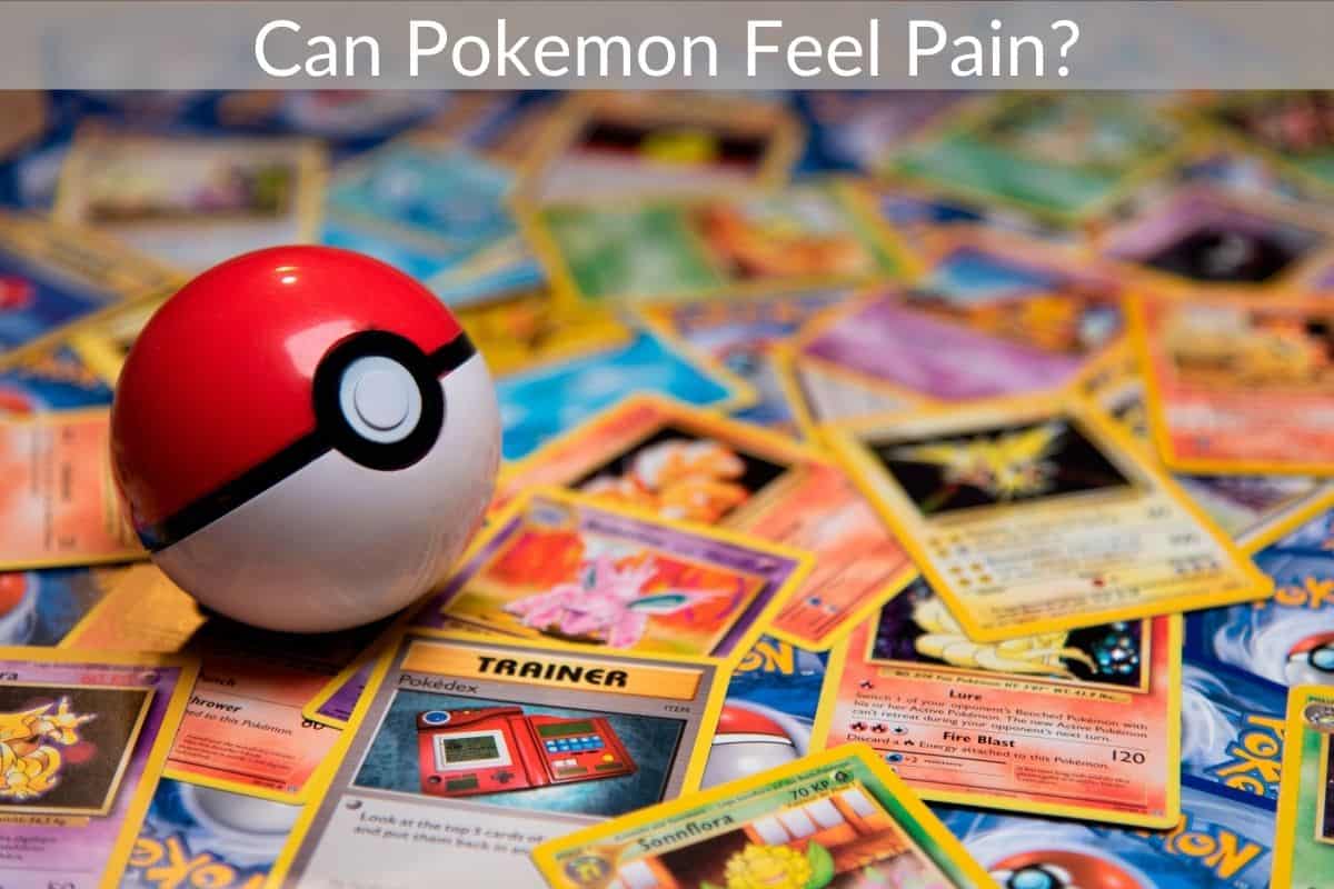 Can Pokemon Feel Pain?