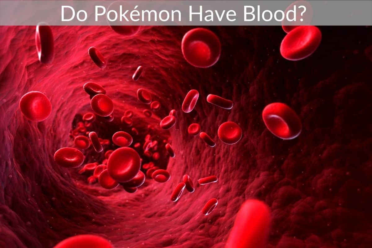 Do Pokémon Have Blood? 