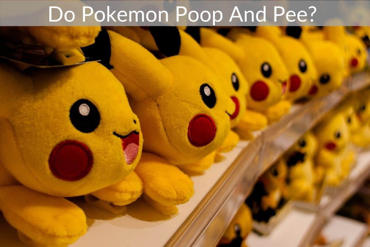 Do Pokemon Poop And Pee? 