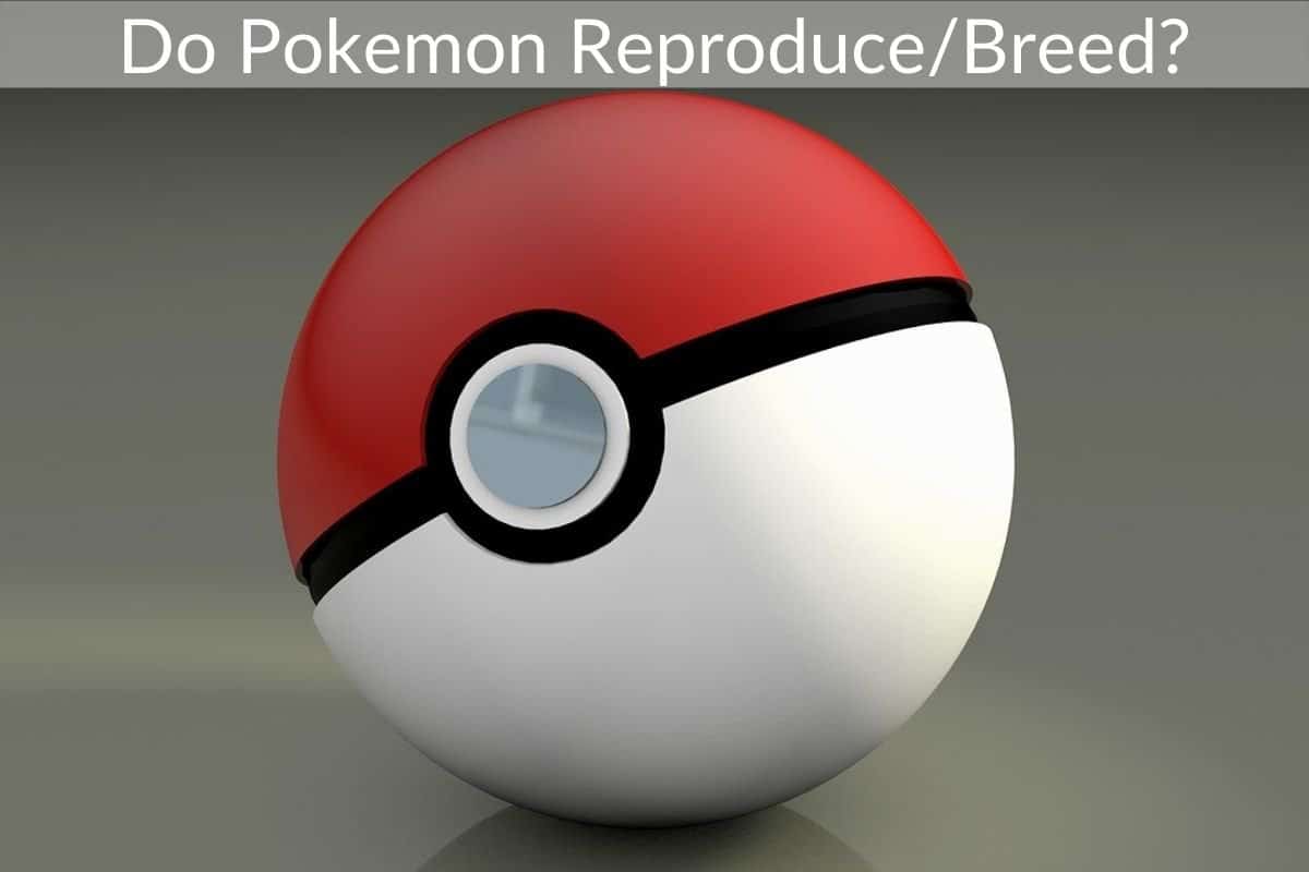 Do Pokemon Reproduce/Breed?