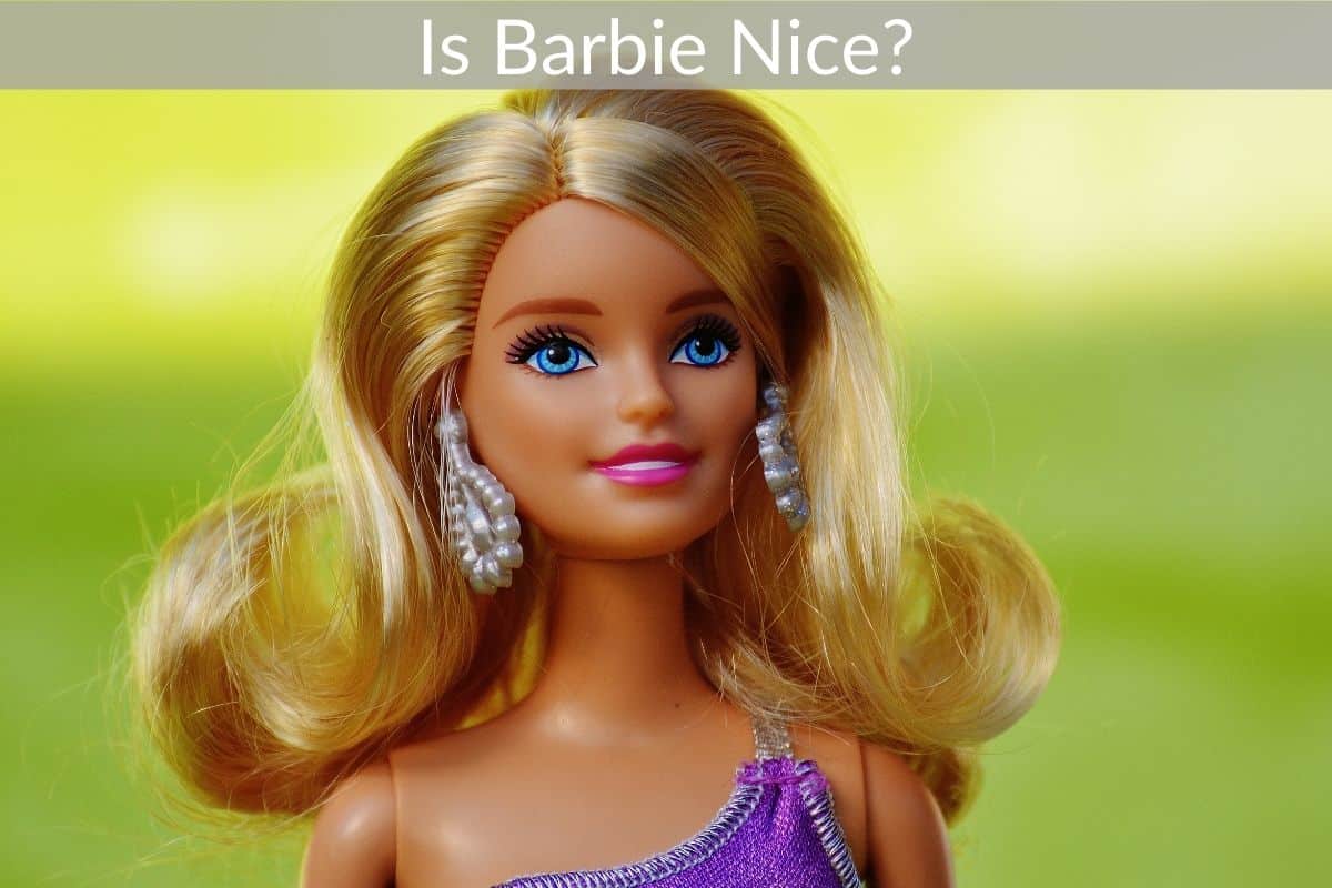 Is Barbie Nice?